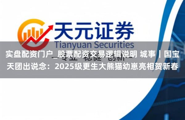 实盘配资门户_股票配资交易逻辑说明 城事｜国宝天团出说念：2025级更生大熊猫幼崽亮相贺新春
