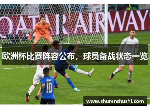 欧洲杯比赛阵容公布，球员备战状态一览